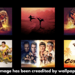 Cobra Kai Budget, Collection, Release Dates, Cast & Future Plans – The Ultimate Guide