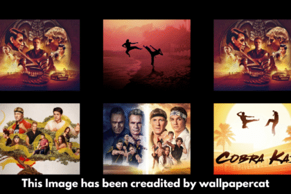 Cobra Kai Budget, Collection, Release Dates, Cast & Future Plans – The Ultimate Guide