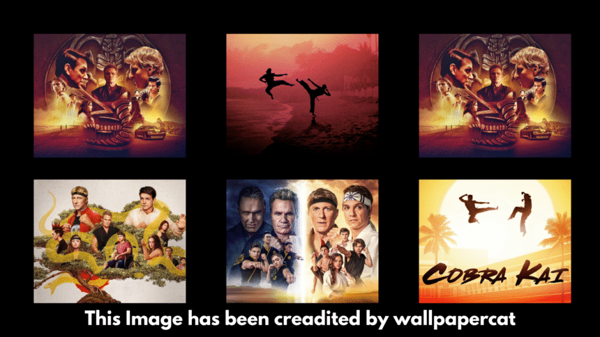 Cobra Kai Budget, Collection, Release Dates, Cast & Future Plans – The Ultimate Guide