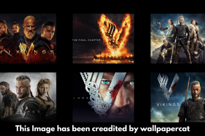 Vikings Budget, Collection, Release Dates, Cast & Future Plans – The Ultimate Guide